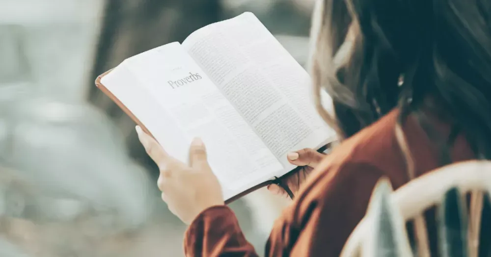 Why Readers Love These Novels