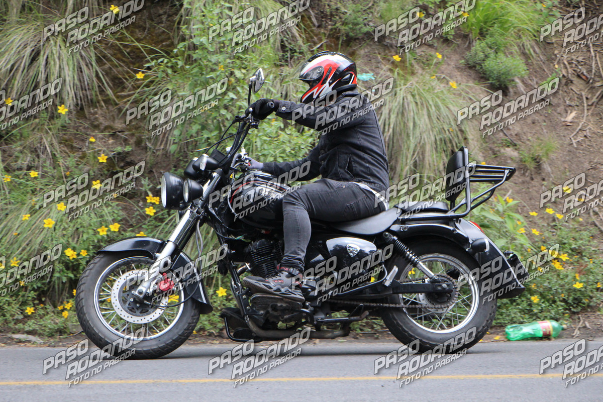 IMG 9635 wm 3128344 8 watermarked — Postimages