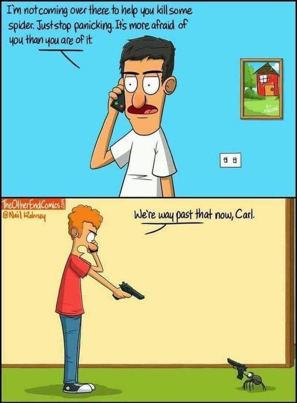 43694679_1807505162636877_4088614067550289920_n