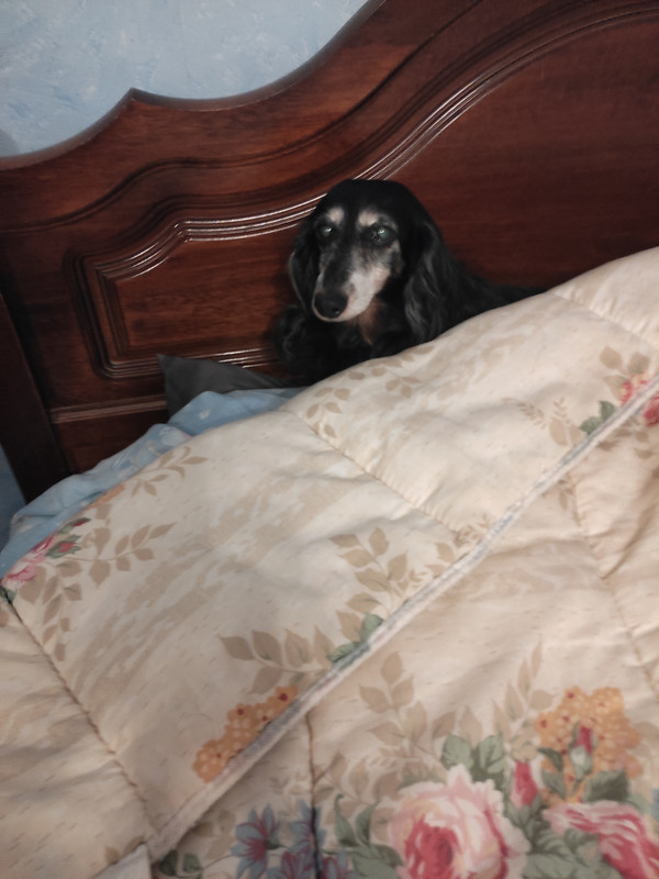 [Image: IMG-20230119-083411.jpg]