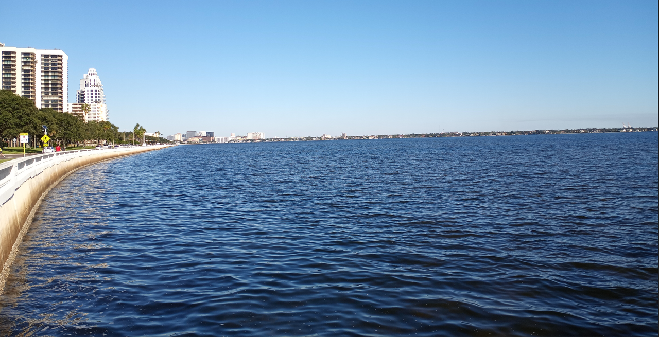 [Image: Bayshore-Blvd-Tampa3.png]