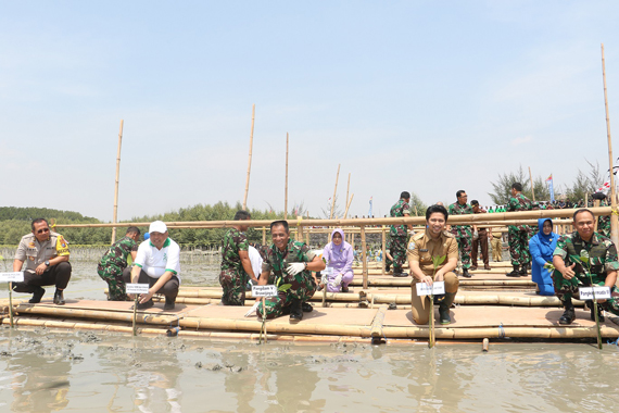 Sukseskan Rekor MURI Penanaman Mangrove, Emil Dardak bersama TNI-Polri dan Masyarakat Tanam Bersama Pohon Mangrove