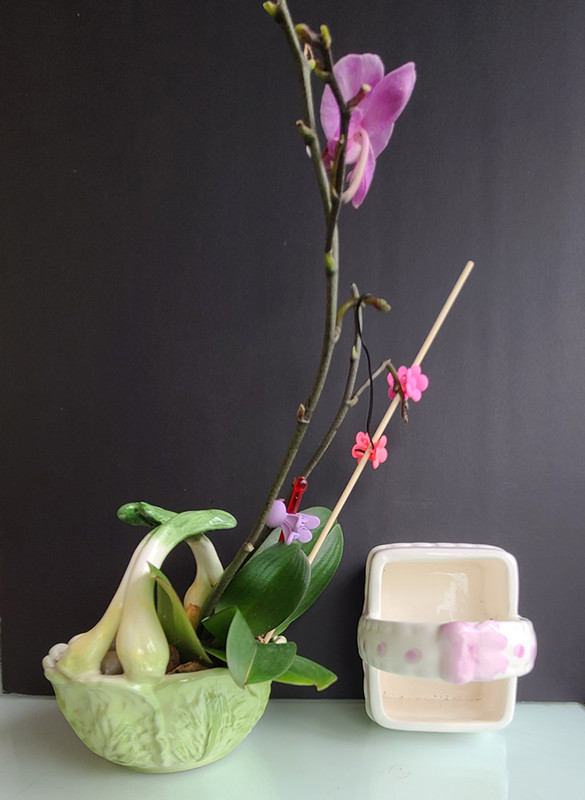 [Image: 20230611-105703.jpg]