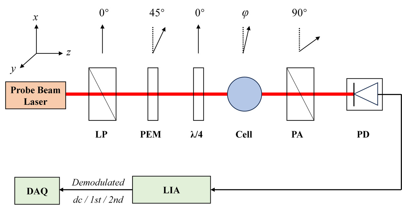 The optical polarimetry measurement based on PEM in the SERF atomic magnetometer.