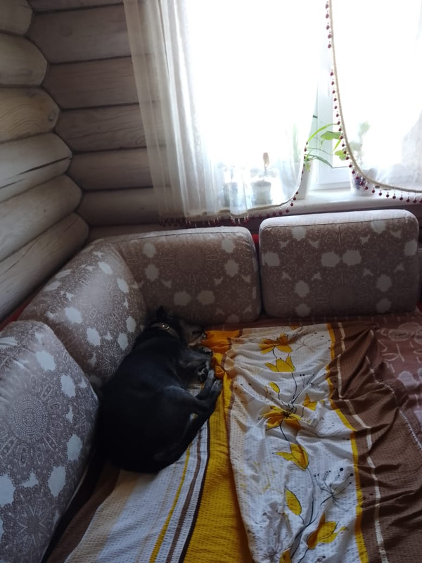 C373BB2C-21F6-4289-9947-22DC72F92E8E