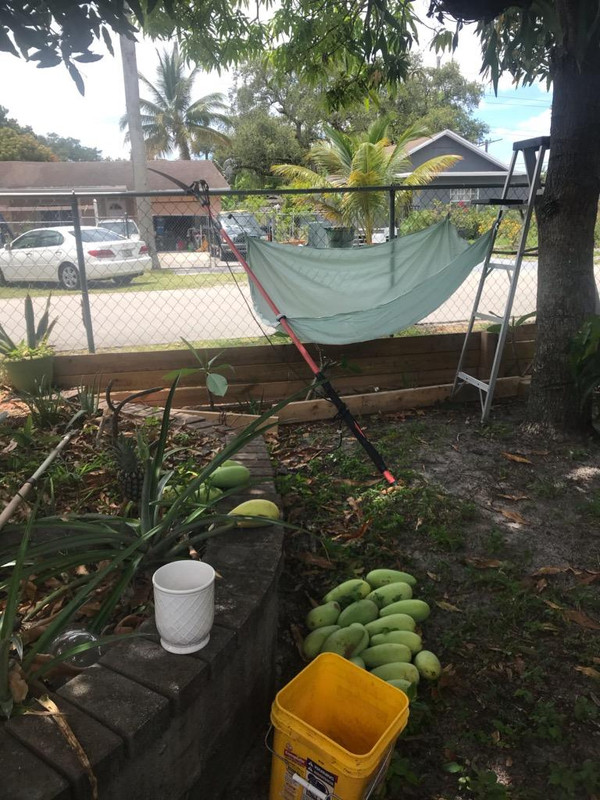 CBCC2B7E-DC66-4603-83A7-E5A048B48DAD