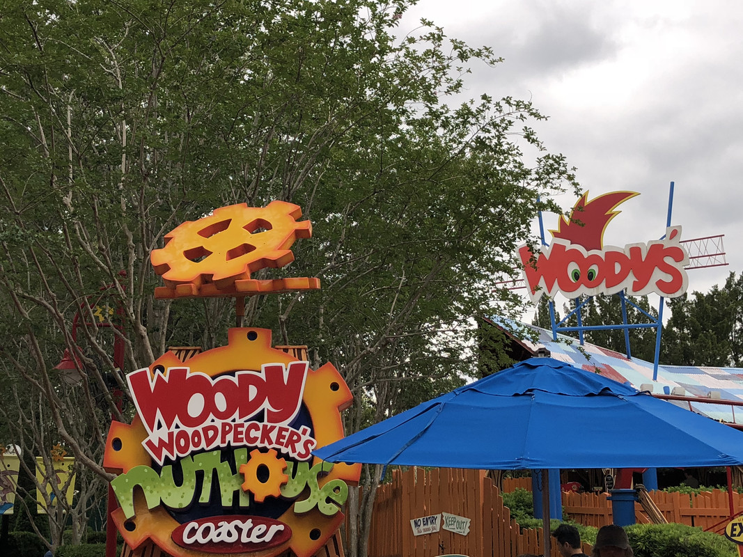 C5BAA0F1-430C-4BDA-BC09-FED5BEA1D8A2