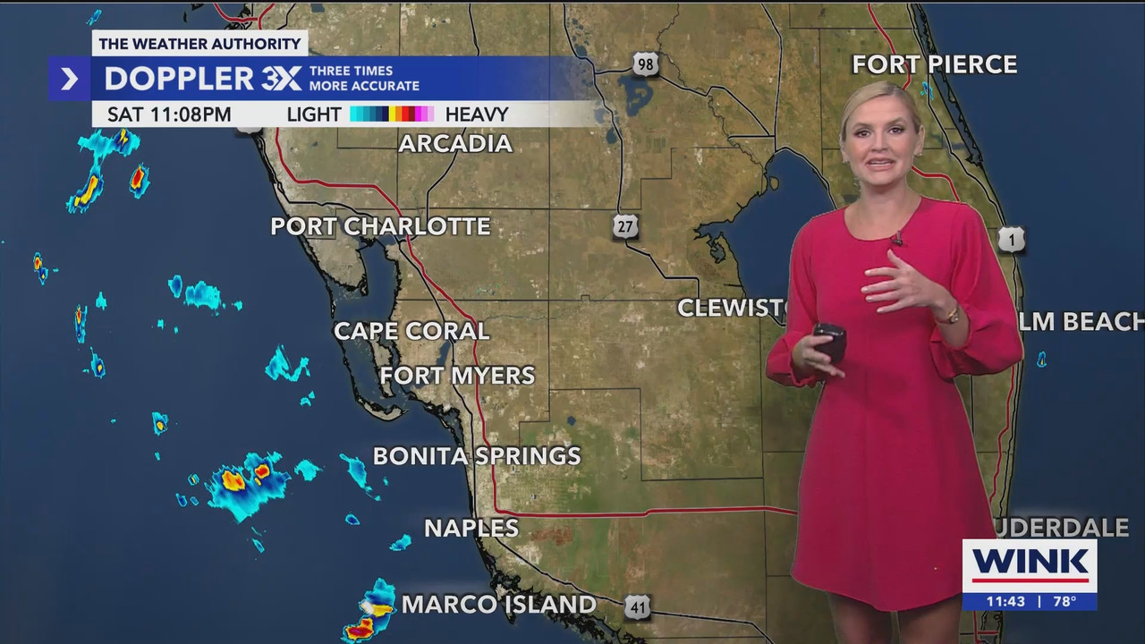 WINK News at 11_20240922_04000500.ts_snapshot_00.45.32.294
