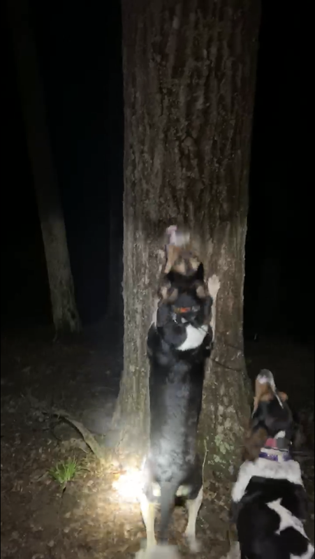 4983063E-7013-4557-B11B-E28401DC2438