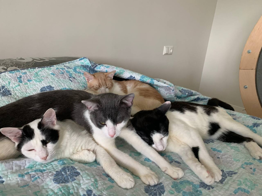 D266A3C7-D26B-4308-88B5-77F1D85D6A75