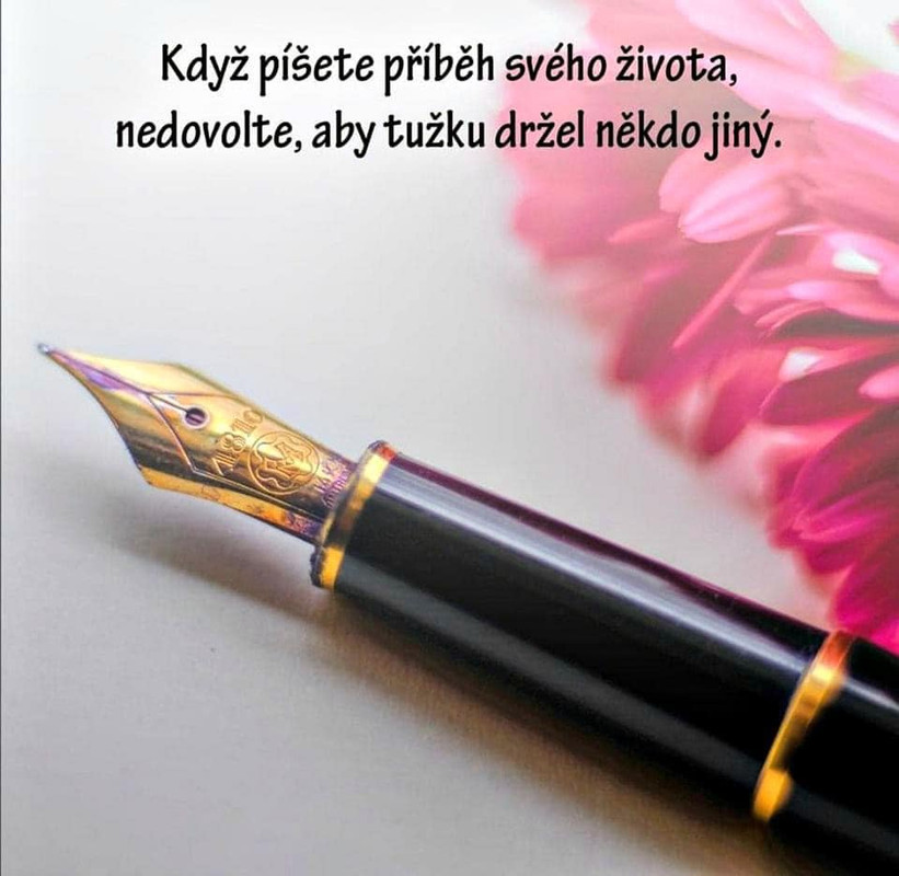 189212990_4128186077243263_8283650074749502617_n