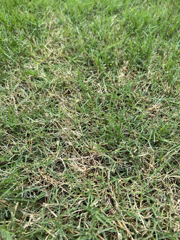 1EDE7344-2A43-45CF-9195-1B934A356E9D