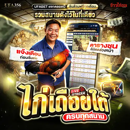 ดูไก่เดือยสด ถ่ายทอดสดไก่ชนทุกสนาม อัปเดตตลอดวัน