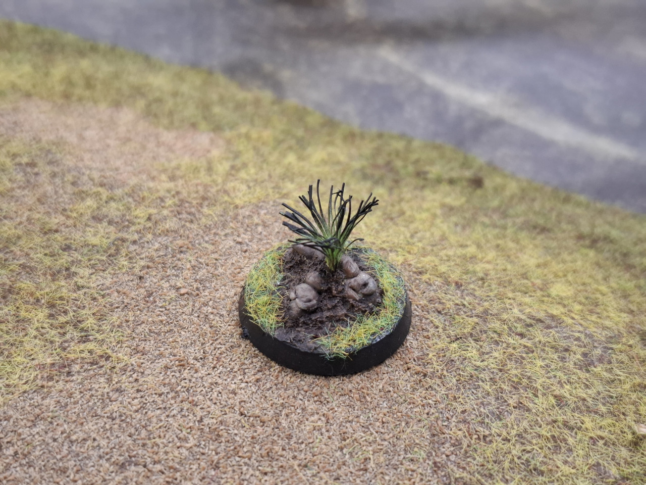 [Image: 20251122_143717.jpg]