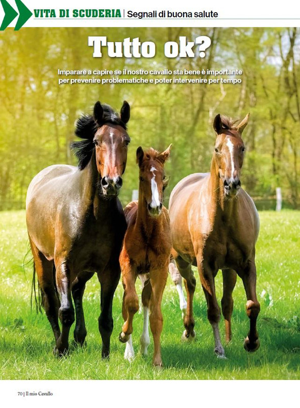 Il Mio Cav (Set-Ott 2024) 7