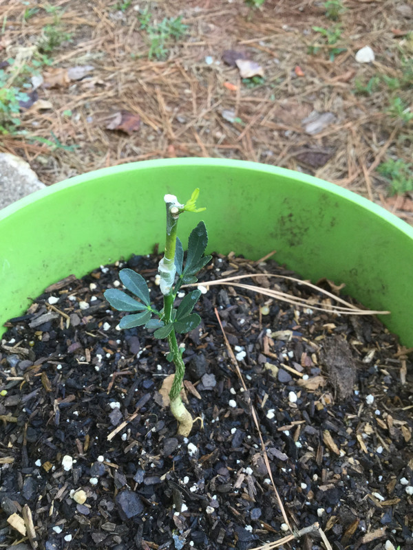 5CC86941-502E-4B31-A795-2909C46B65AE