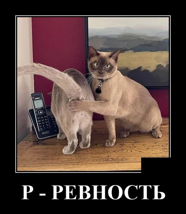 https://i.postimg.cc/rFktWZGS/14142023-01-07-mixnews-aa9-jpg.webp