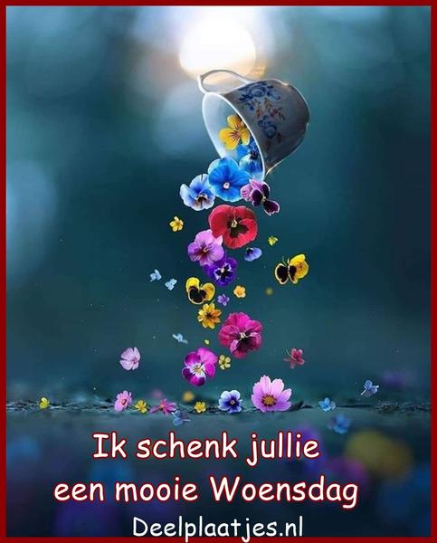 deelplaatjes-nl-een-mooie-woensdag-465610.jpg