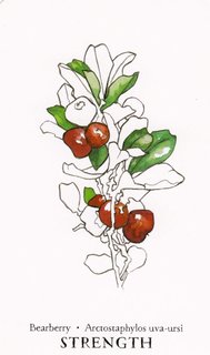 [Imagen: Bearberry.jpg]