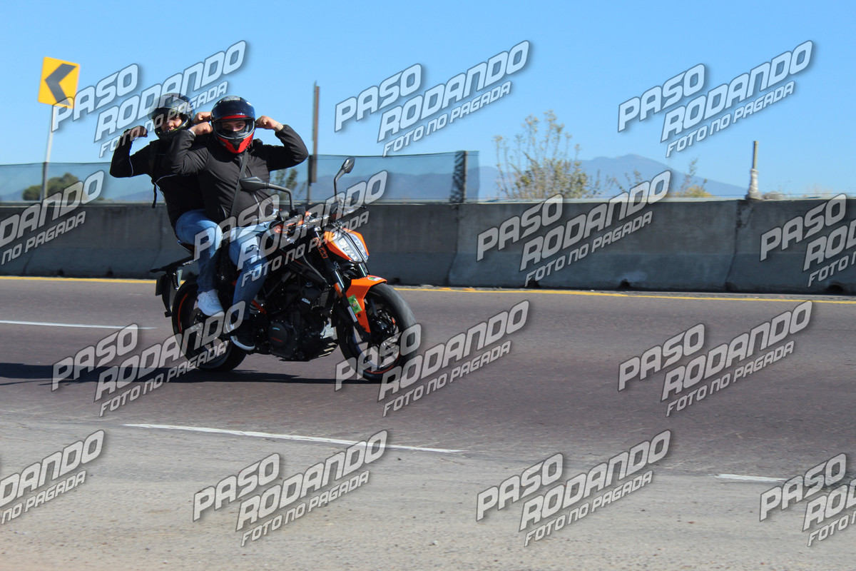 IMG 6467 wm 8074162 9 watermarked — Postimages