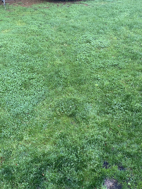 13D6D14A-A528-4197-AE6C-2CA7475C0DA8