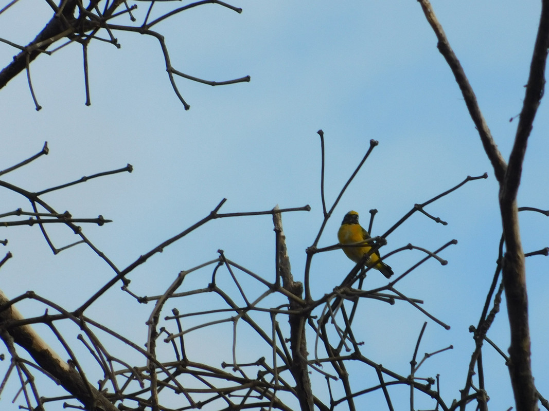 DSCN0078.jpg