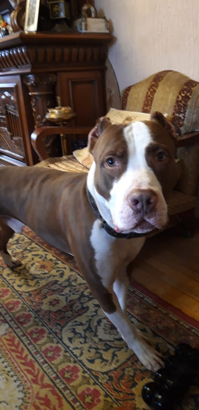 50746FA6-18A6-4126-BAF5-3BA71BB9BCC6