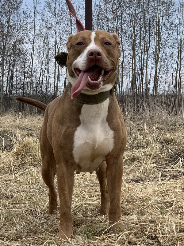 image-09-04-23-05-38-22 (1)_edit_606014574820549