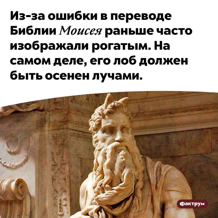 [Изображение: 595dacf96fb4f0b1e3037e0c560a7dcd.jpg]