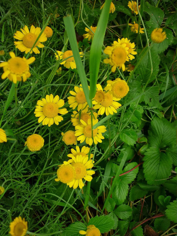 photo 45 2025 12 27 21 08 38