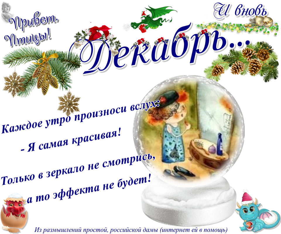 https://i.postimg.cc/rFnTN212/08-12.png