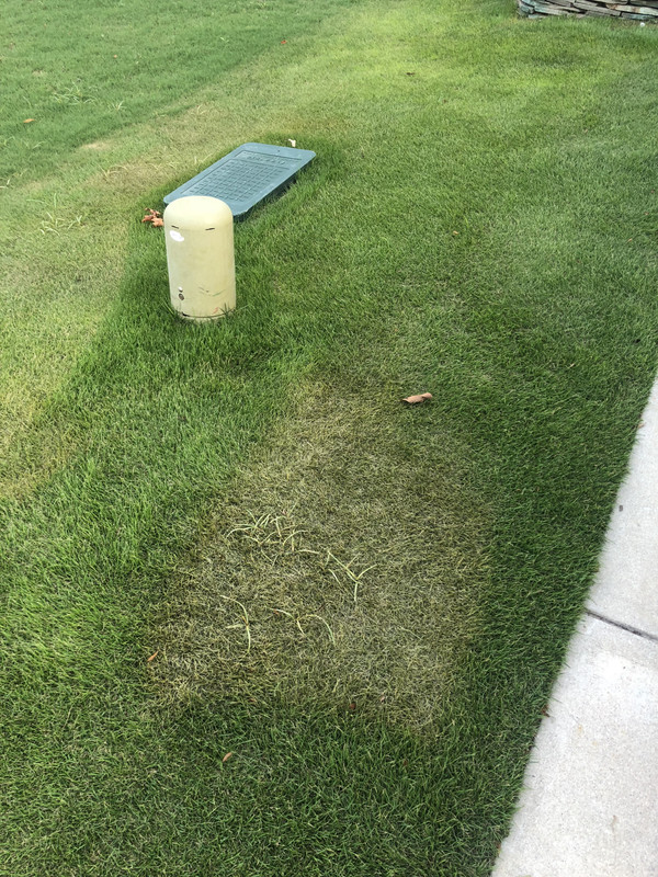 4F1FEF4D-7B7C-450D-922A-D7CC77586A74