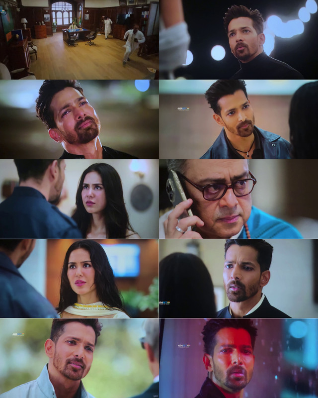 Collage 2025 11 06 09 35 47