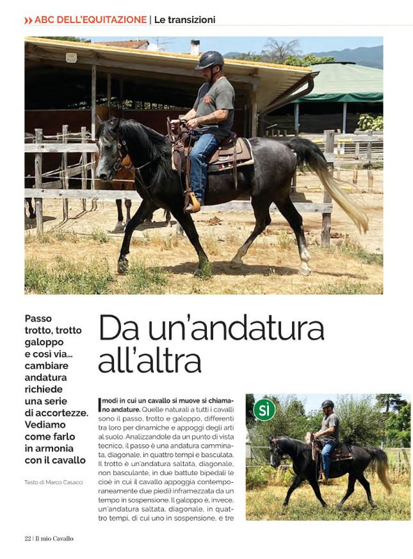 Il Mio Cav (Set 2021) 3