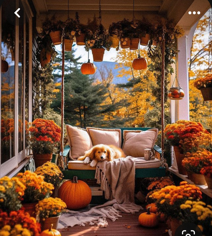 Screenshot_20231117_215507_Pinterest