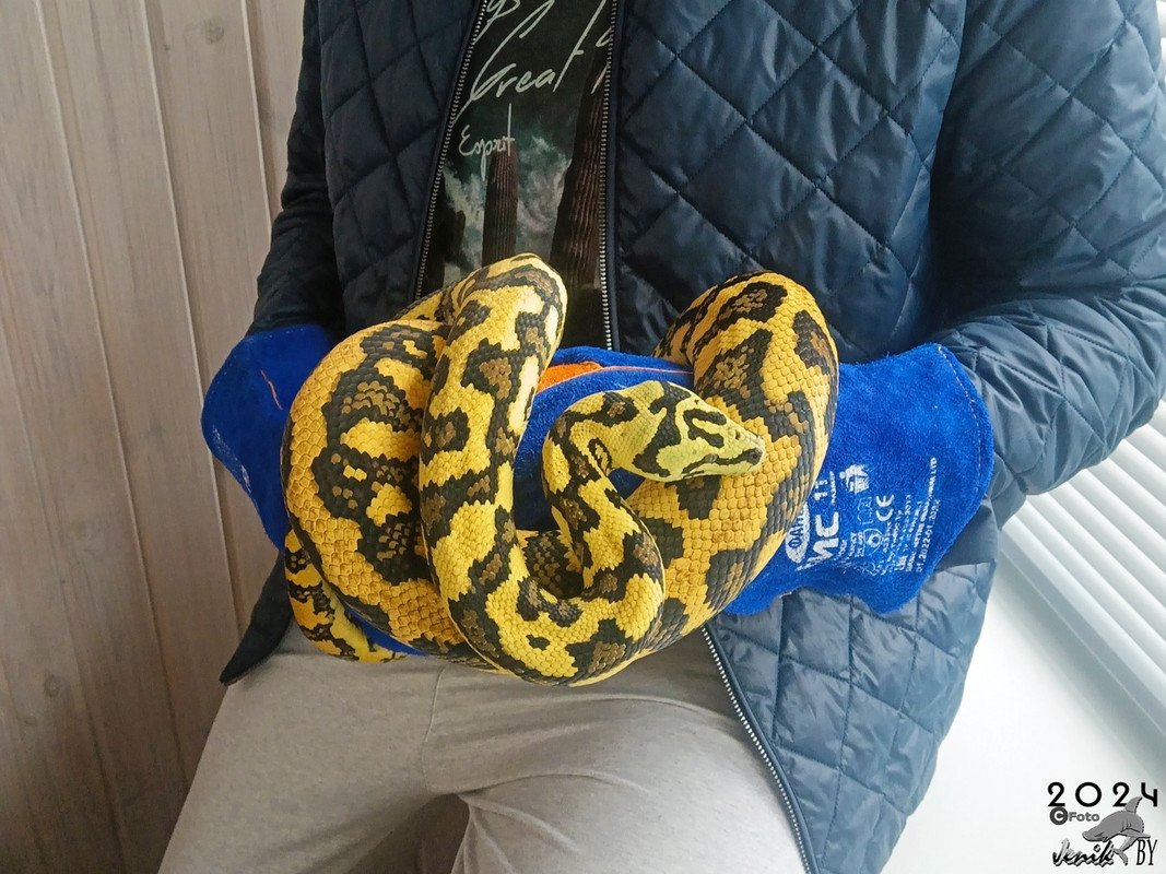 wRRa3vC5pEXUlhc_uBgIIcwoln-UnuDjcO8bffwVzxIWStdCW8TgtVhxMHbJJlOd2ZHgmp6NGKj9SC0OmR7_vZRn