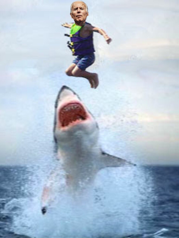 635F4E87-175A-4E7E-9410-6B946E35C37B