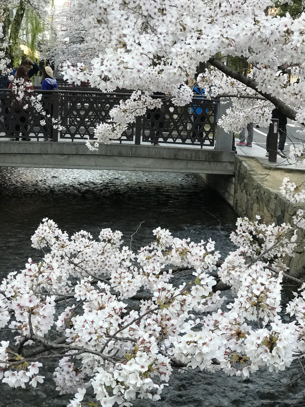 7A225764-37F3-4934-A2FA-2C2CB8E1C940