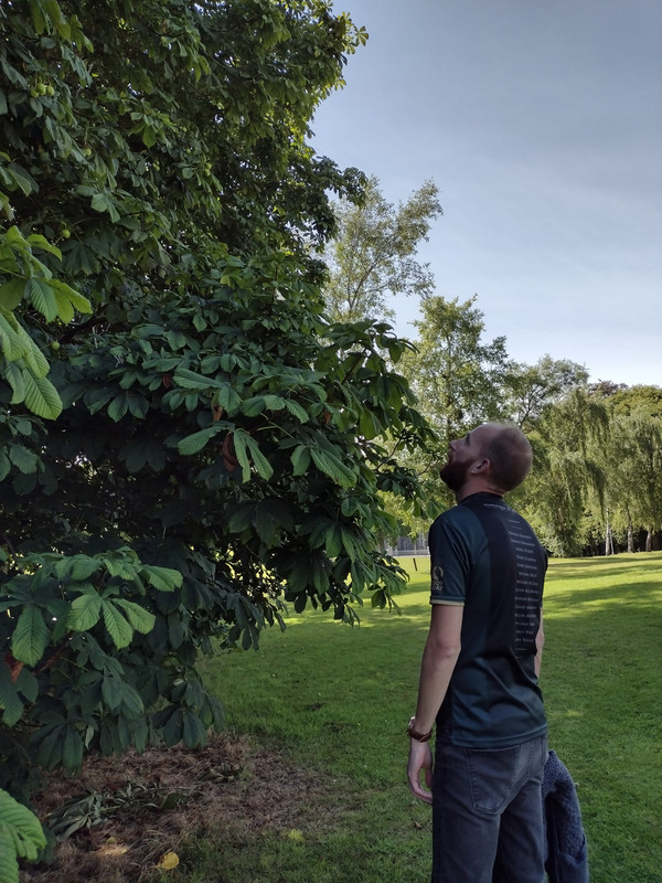 IMG_20220817_151000272_HDR