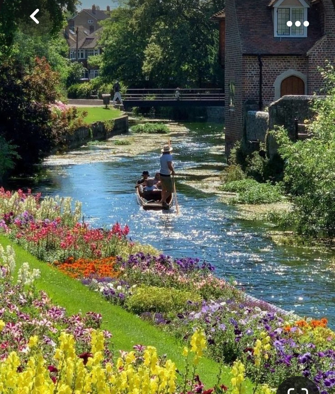 Screenshot_20231020_205930_Pinterest