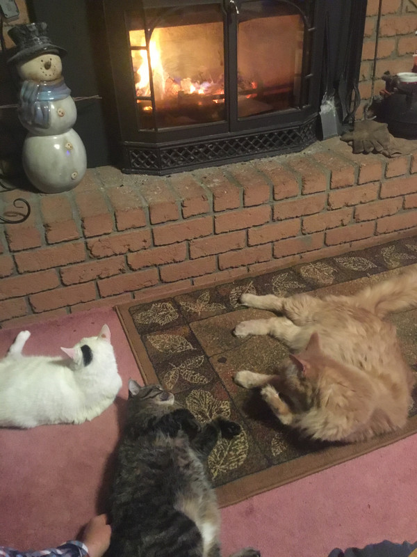 17A8A59F-2F99-4BB5-A4D8-CB9FE8CBAF26