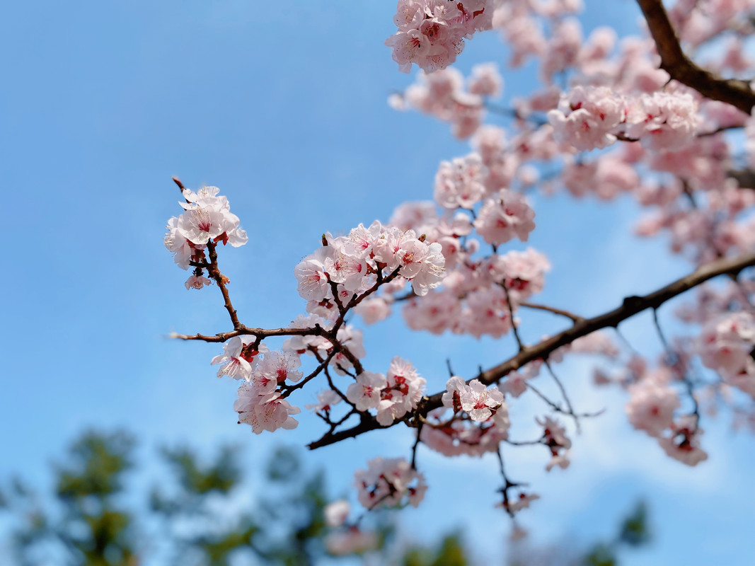 휴가를 맞이하여 나들이 다녀왔습니다 | 인스티즈