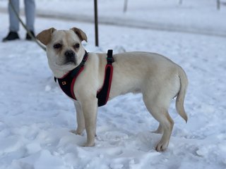 5BAA7DAF-416B-46D7-8A86-AA0829D74FA2