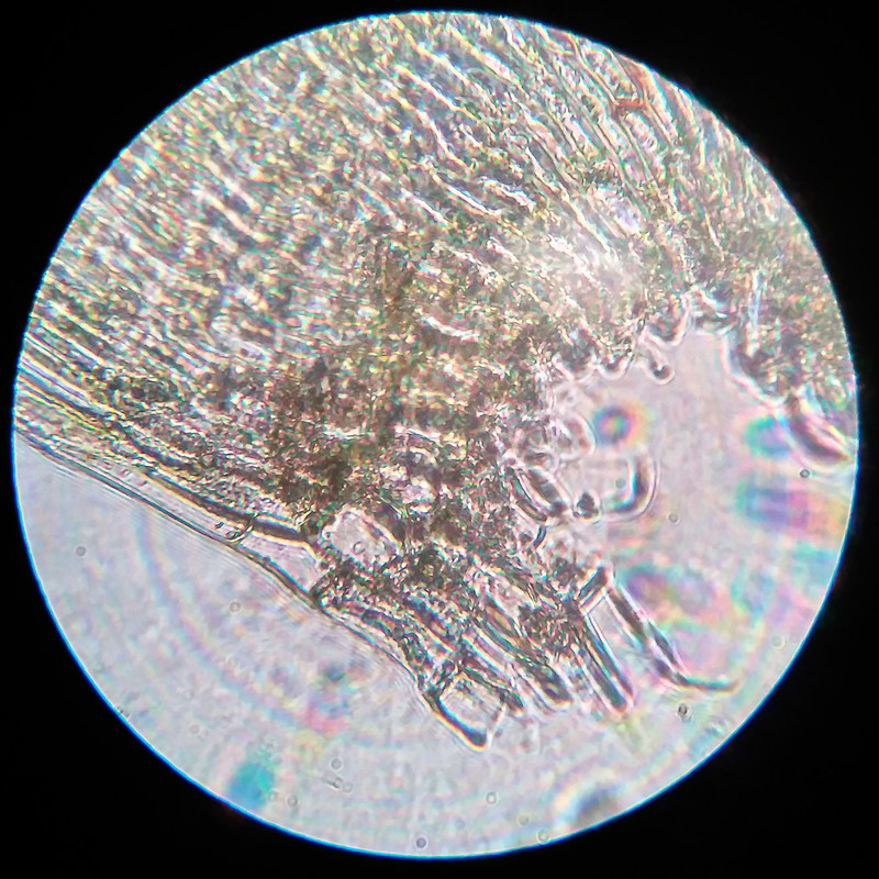 IMG 20250616 220238 HDR