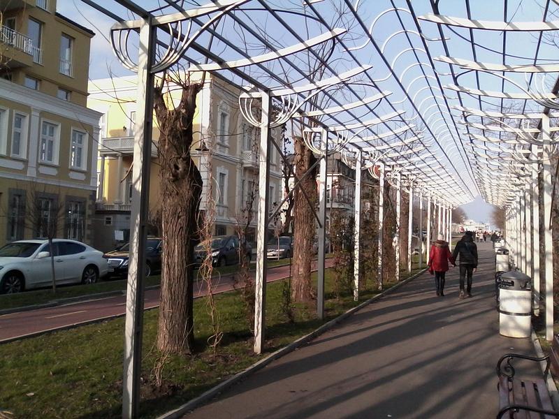 IMG-20190209-154920.jpg