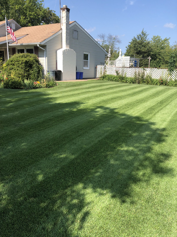 48727770-A88E-467A-8A5F-7C9067521E98