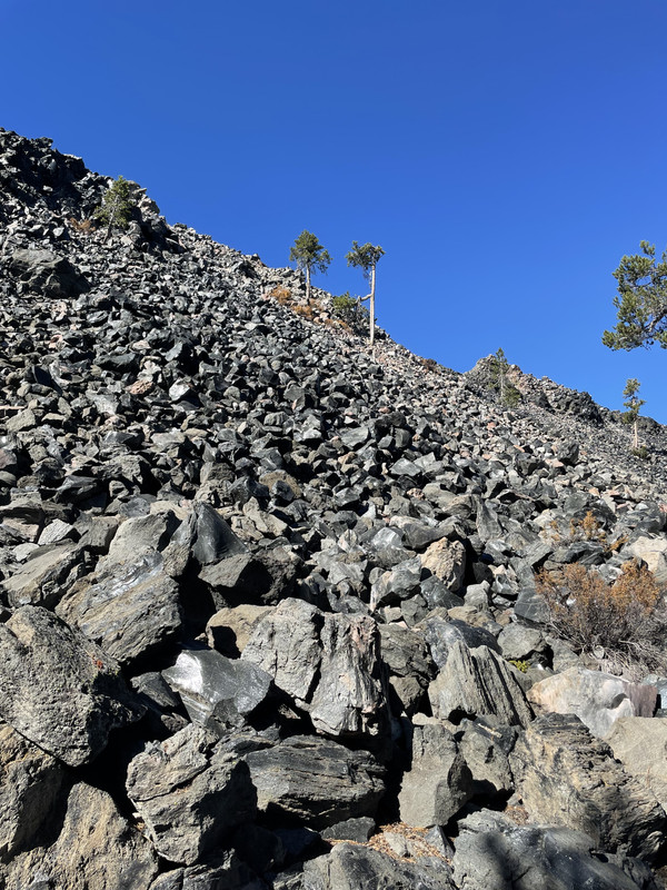 319F7096-6F13-438F-A9B6-0E2B3DDEE36A