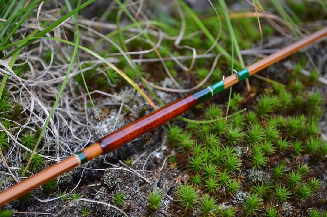 FB_IMG_1705255679616