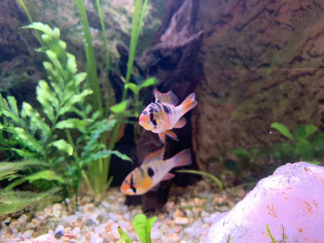 212DB9A5-DB60-4841-8DE5-98892A01E184