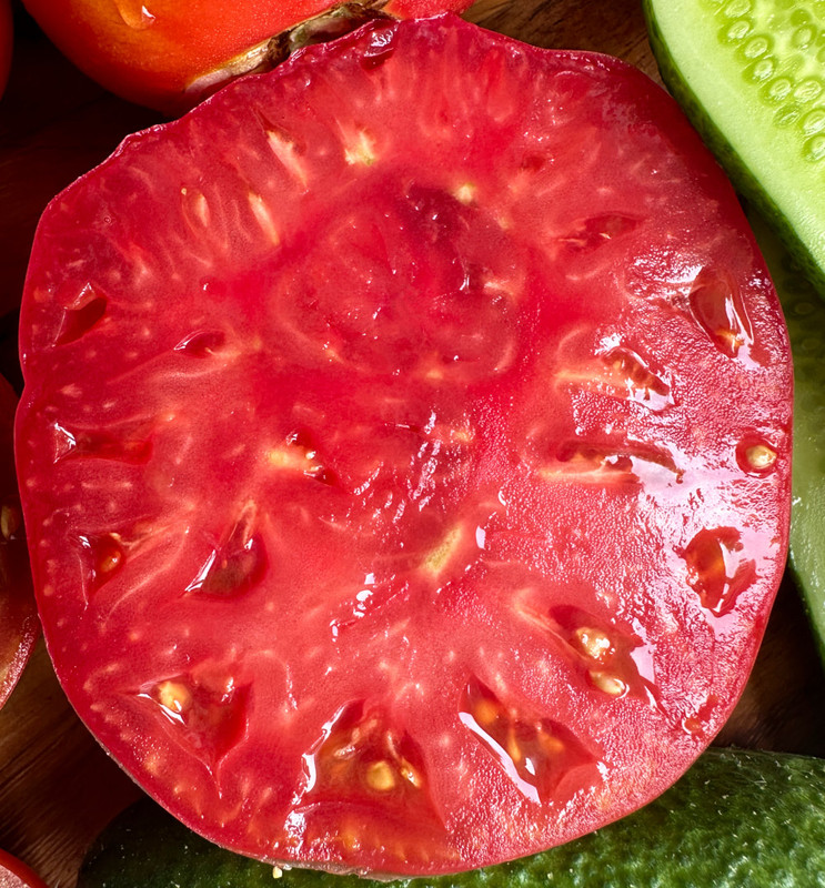 figs-185.jpg